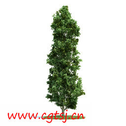 C4D模型md5617_nb8129_w256_h256_x的图片